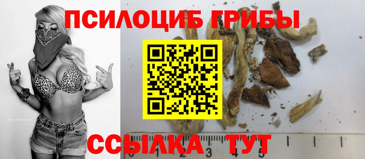 Гуково  Галлюциногенные грибы Psilocybe  Псилоцибиновые грибы прущие грибы  Вход с VPN 